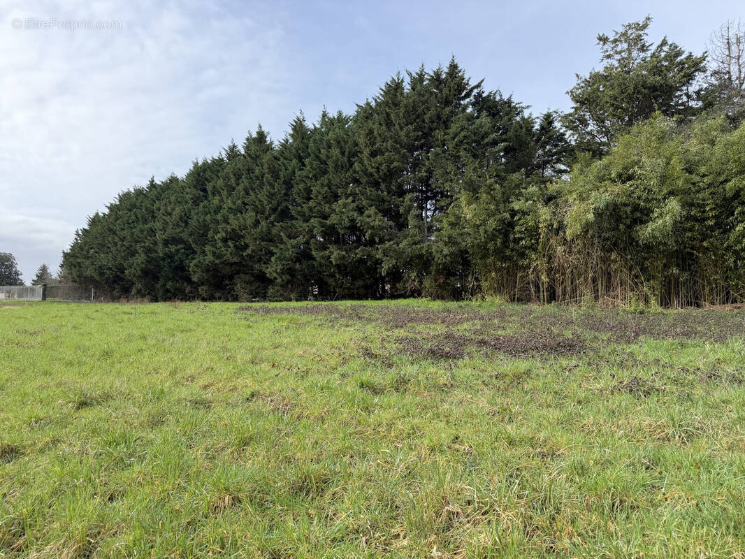 Autre à LUGON-ET-L'ILE-DU-CARNAY