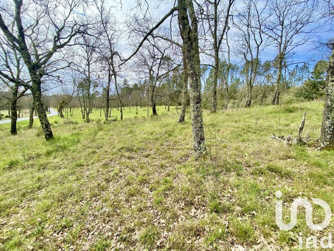 Photo 1 - Terrain à FAYENCE