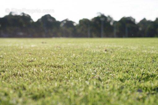 Terrain à VILLEDOUX