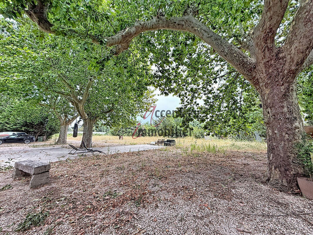 Ensemble immobilier sur 13500m² de terrain. - photo 16