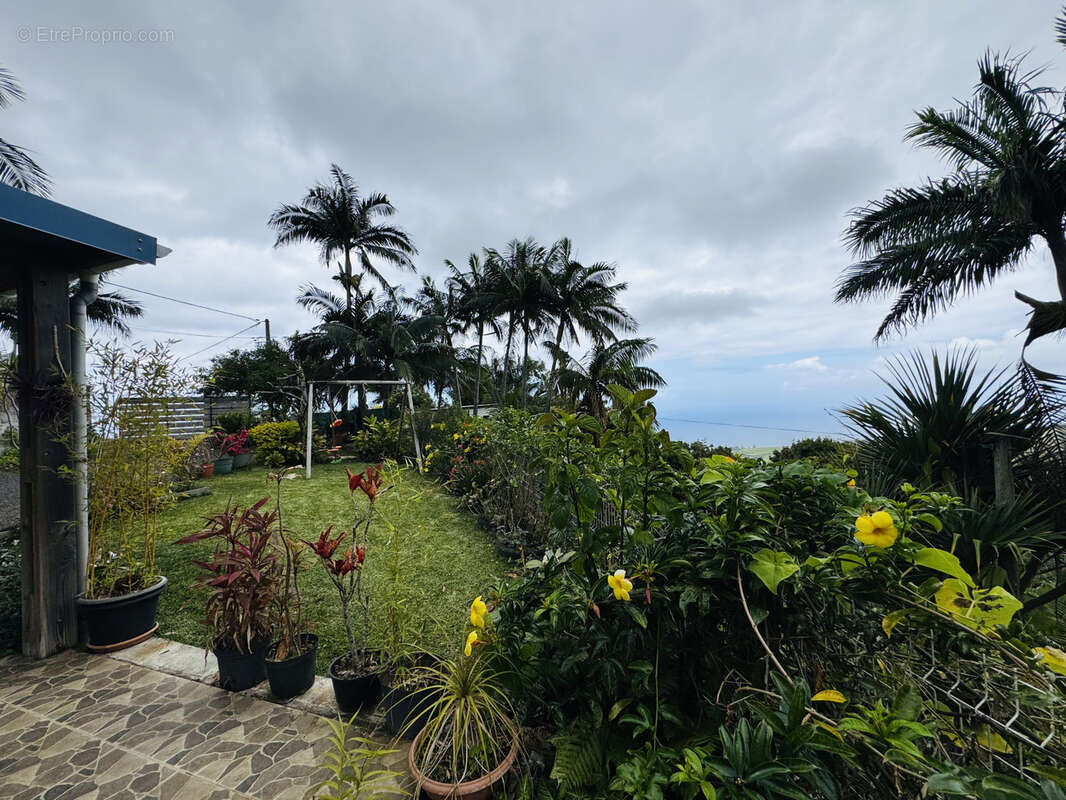 Maison à SAINT-JOSEPH