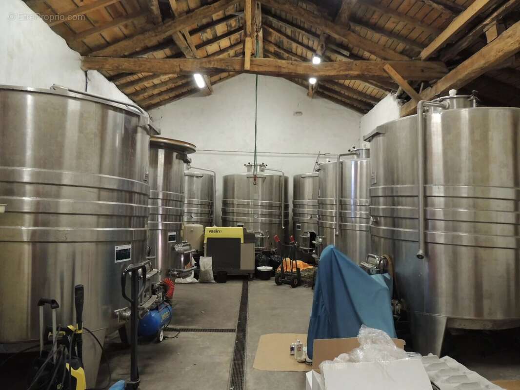 Domaine avec vignoble en activité, maison familiale, gîte, piscine et court de tennis - photo 16