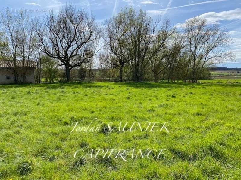 Terrain à SAINT-JULIA