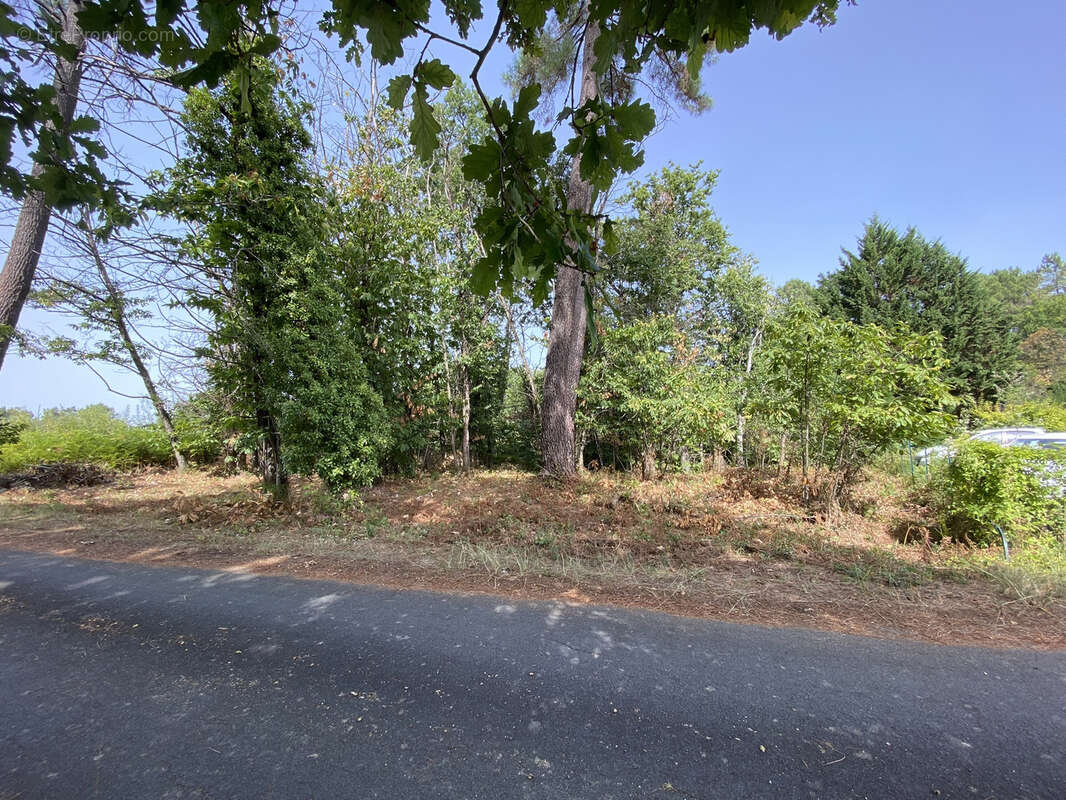 Terrain à CHANCELADE