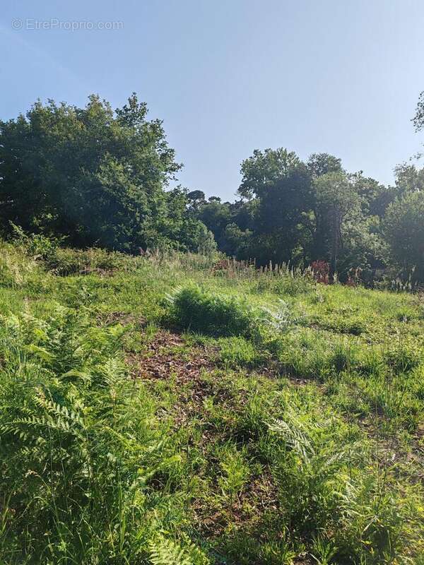 Photo 4 - Maison à SAINTE-MARIE