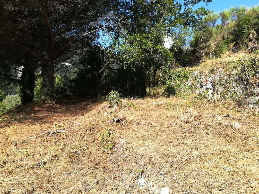 Terrain à CASTILLON