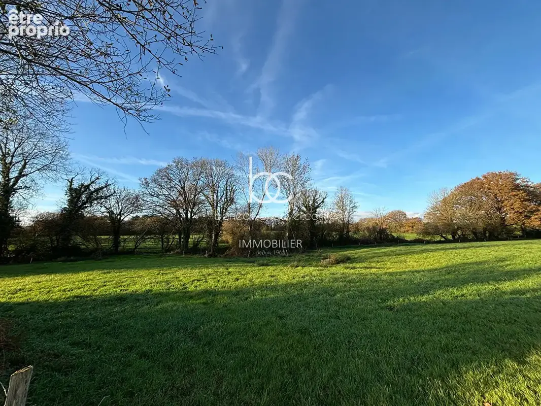 Berric - Terrain 1,5 hectare de Nature, Source et Ruisseau - photo 2