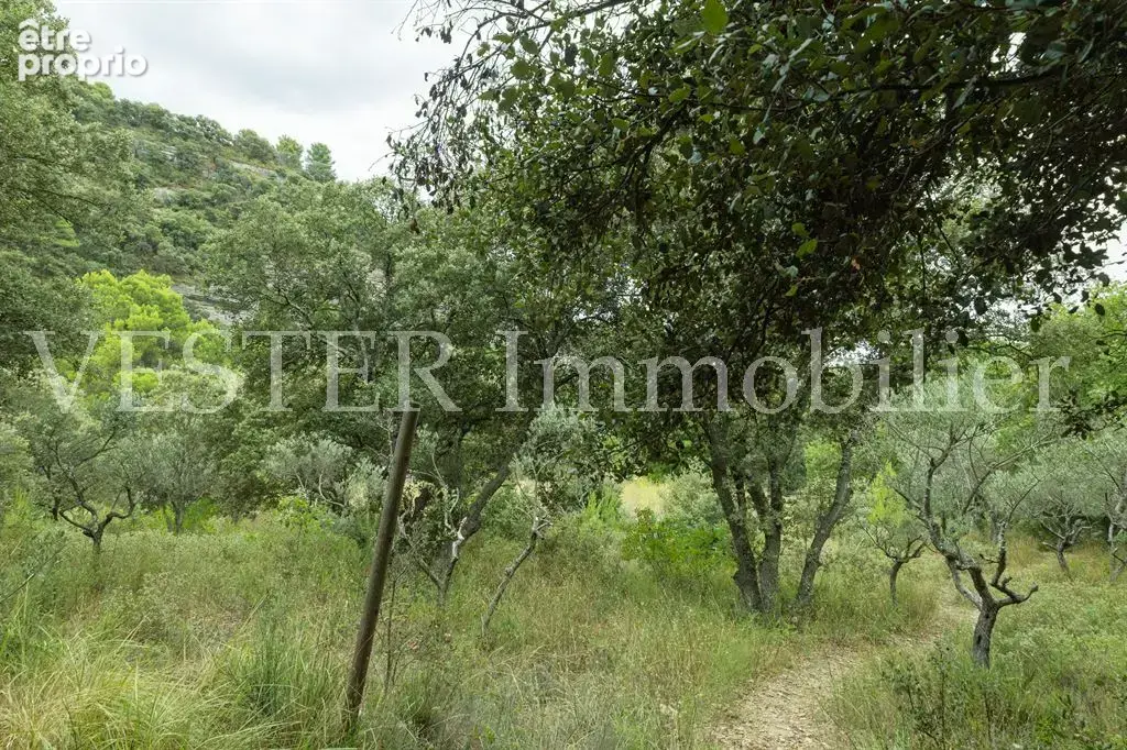 Saumane-de-vaucluse – propriété au cœur d’un environnement préservé - photo 9