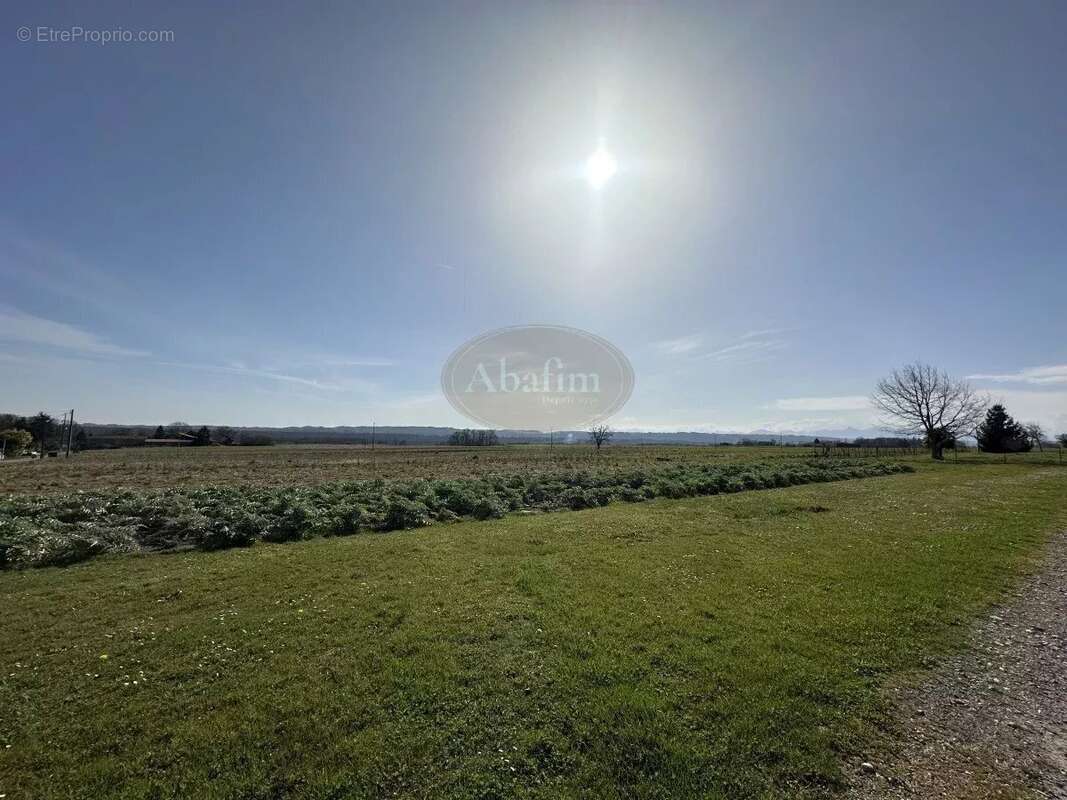 Commerce à PUYDARRIEUX