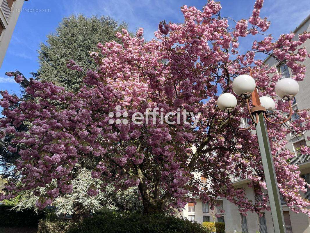Appartement à VERSAILLES