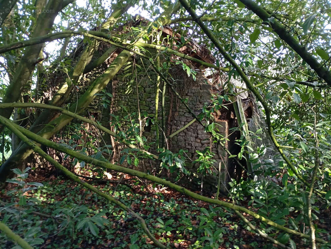 Terrain à LE TEILLEUL