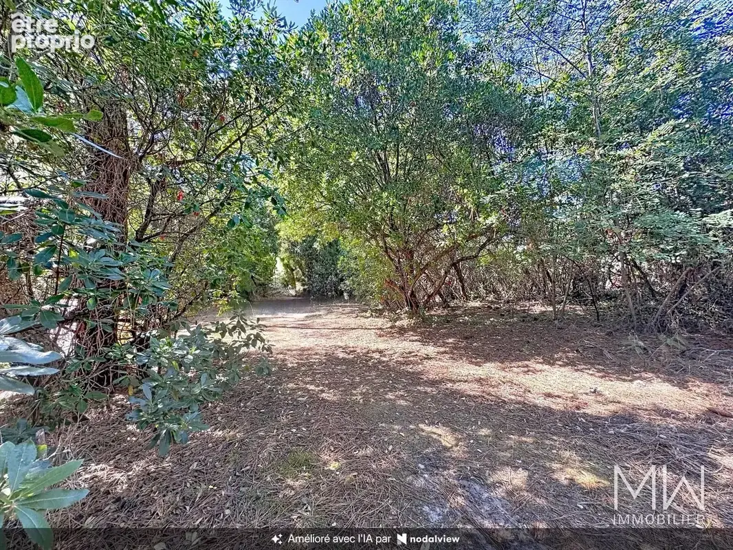 Terrain 1 000 m² à vendre à Lege-Cap-Ferret (33970) - photo 4