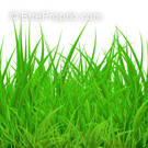 Terrain à MONTAUBAN