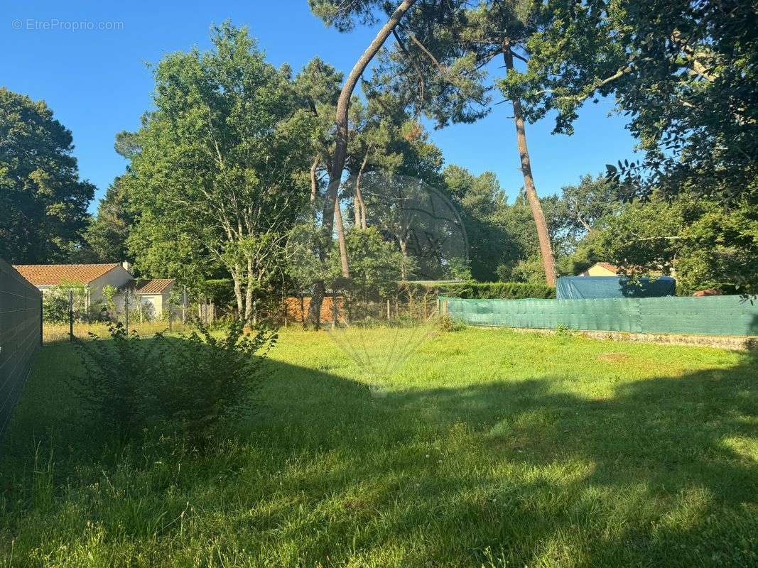 Terrain à LES MATHES