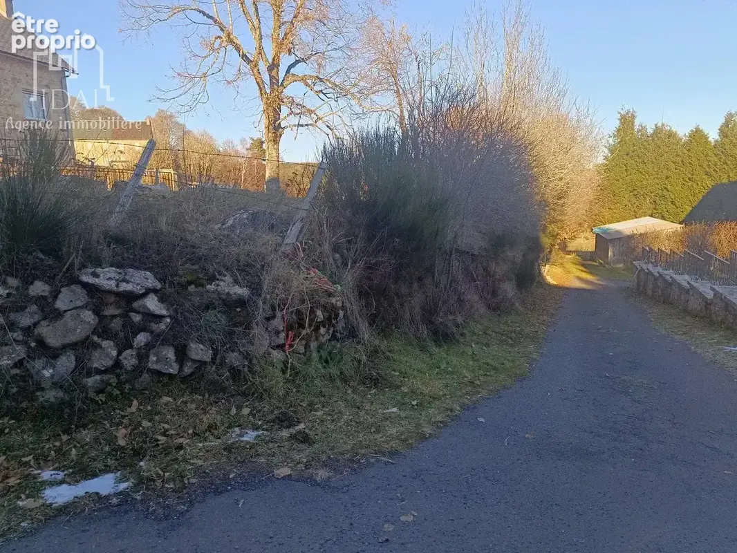 Vente Terrain Fau-de-peyre(48130) 25 000ï¿œ - photo 7