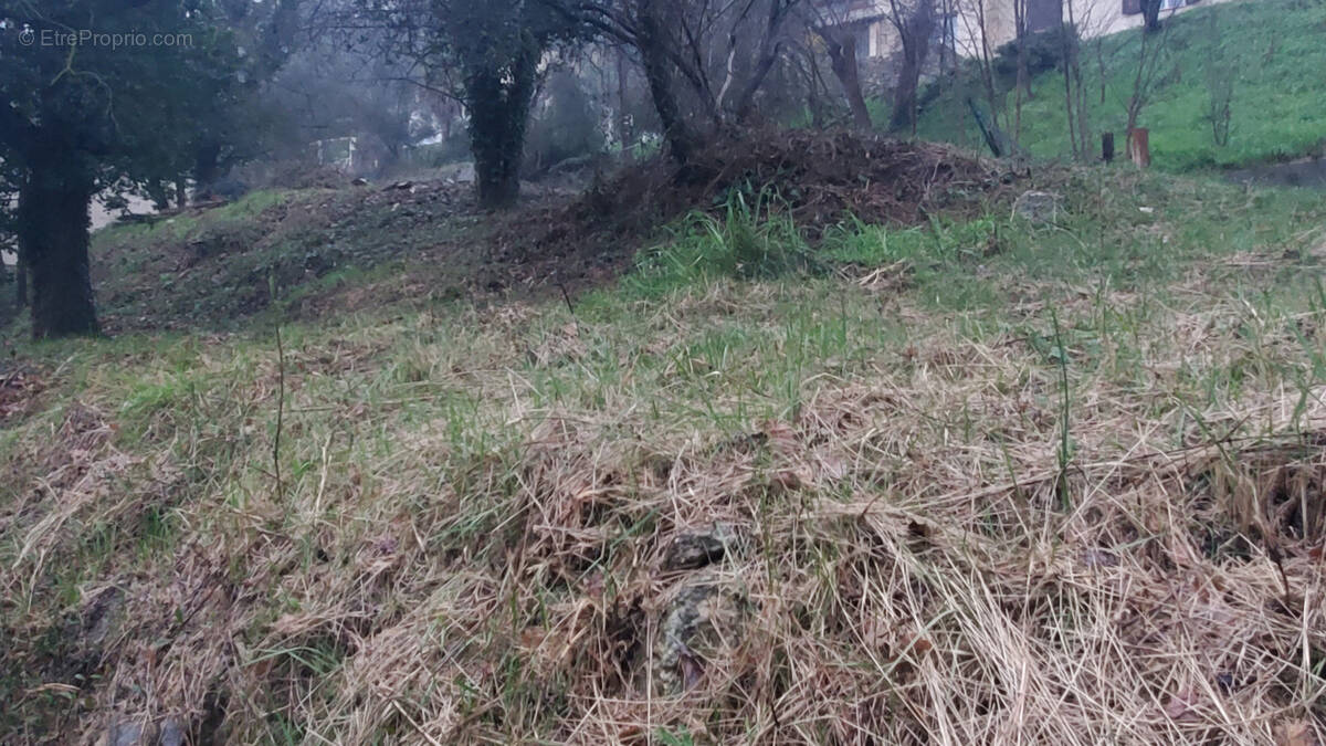 Terrain à LE BAR-SUR-LOUP