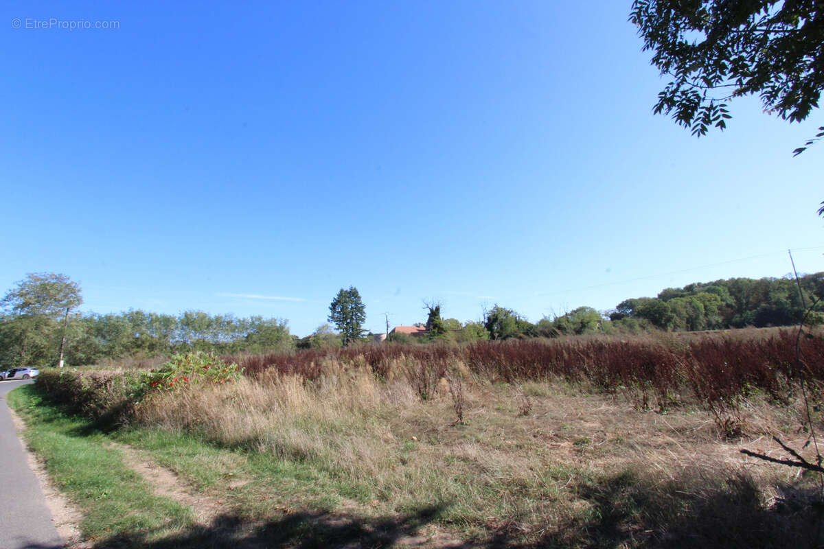 Terrain à LA CHARITE-SUR-LOIRE