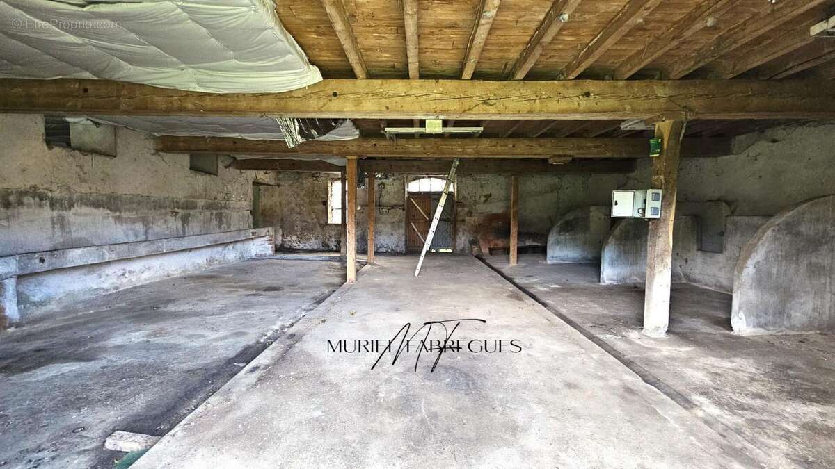 Grand terrain viabilisé de 2200 m2 avec une ferme à rénover intégralement  ou démolir.31290 Saint Germier - photo 13