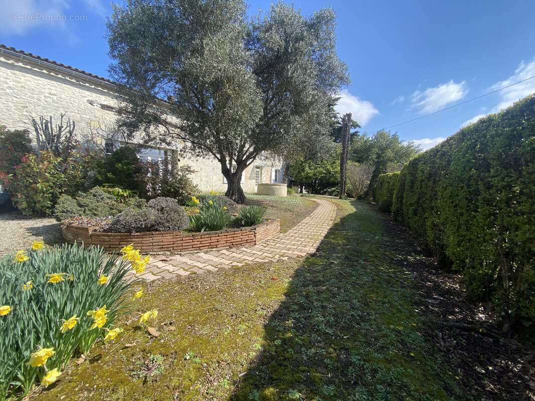 Maison à LA REOLE