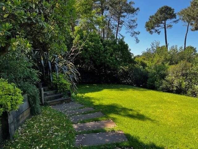 Villa dans un écrin de verdure à Pyla sur Mer - photo 3