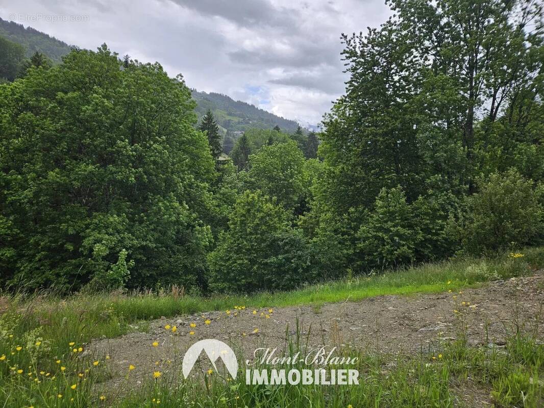 Terrain à SAINT-GERVAIS-LES-BAINS