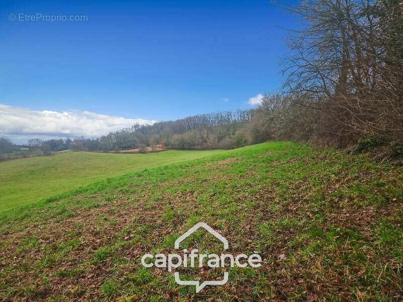 Prairie, terrain de 2.3 hactares avec source - photo 7