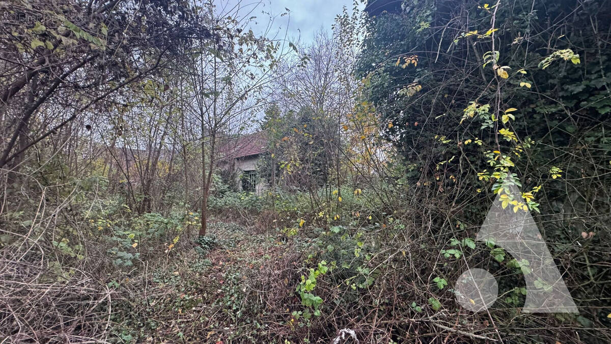 Terrain à CREPY-EN-VALOIS