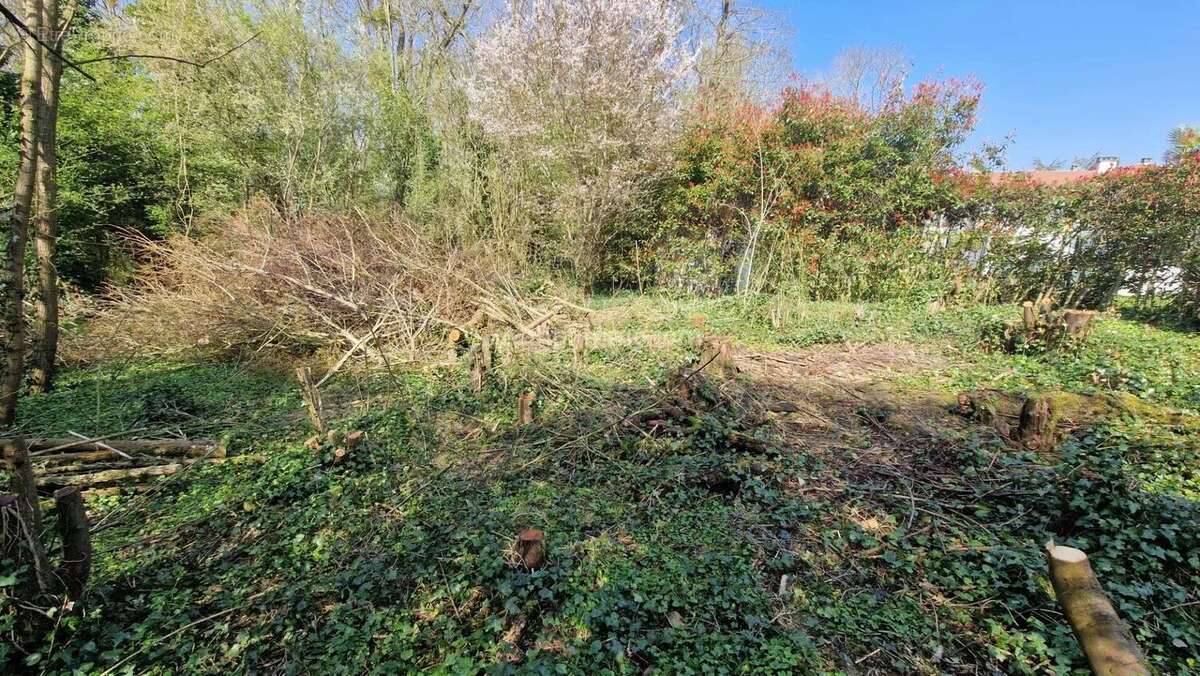 Terrain à THORIGNY-SUR-MARNE