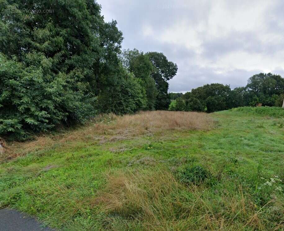 Terrain à VATTETOT-SUR-MER
