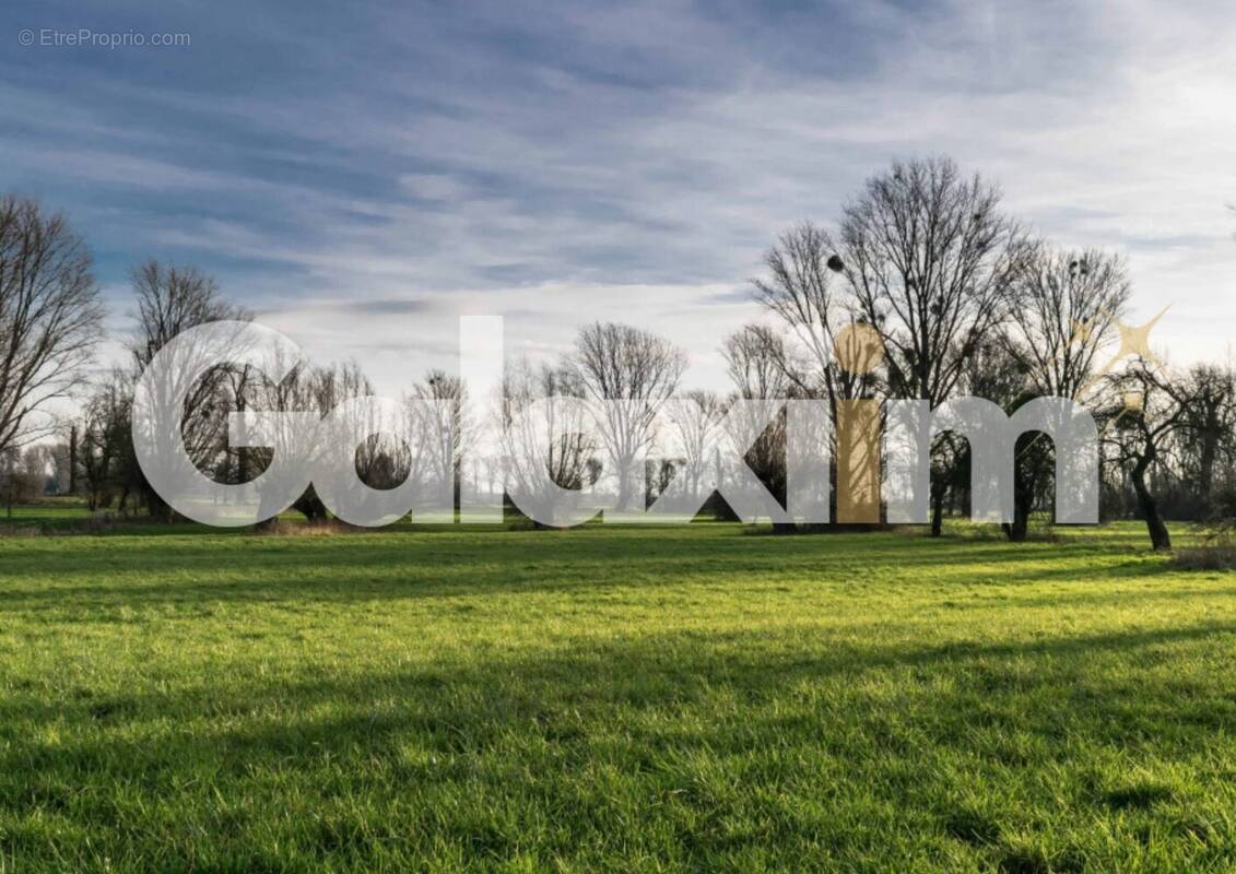 Terrain à SAINT-THURIAL