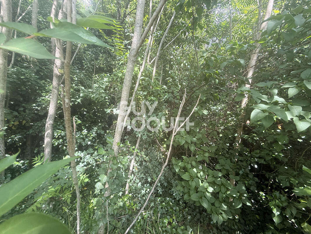 Terrain non constructible - 1 290 m² - Environnement naturel et privilégié - photo 10
