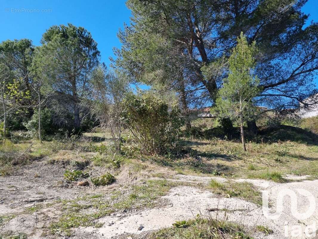 Terrain 1318 m² à Villeneuve-Les-Corbieres  - photo 7