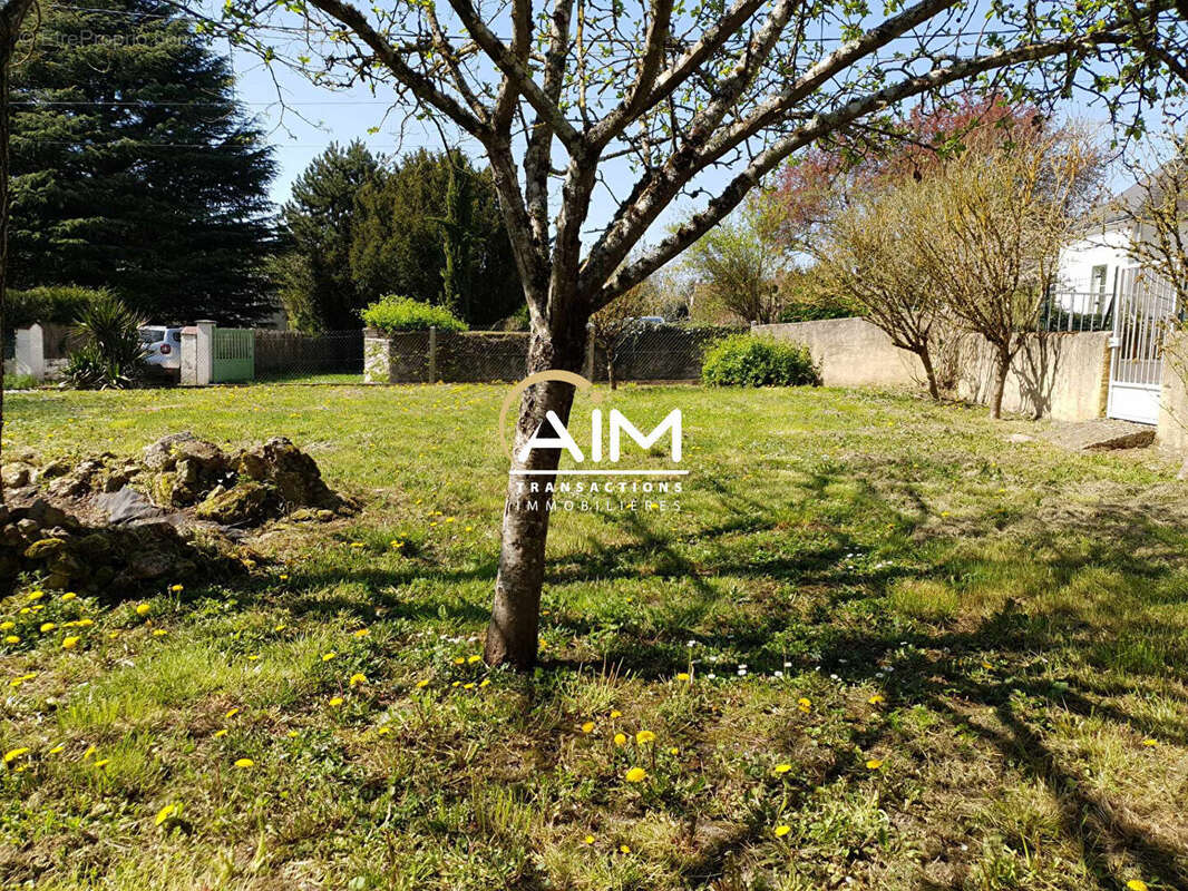 Terrain Chenonceaux 640 m2 - photo 3