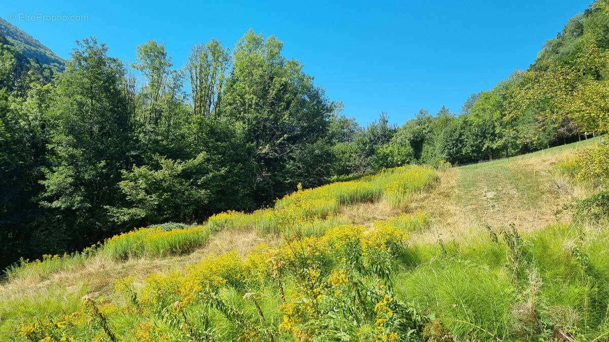 Terrain à VIMINES