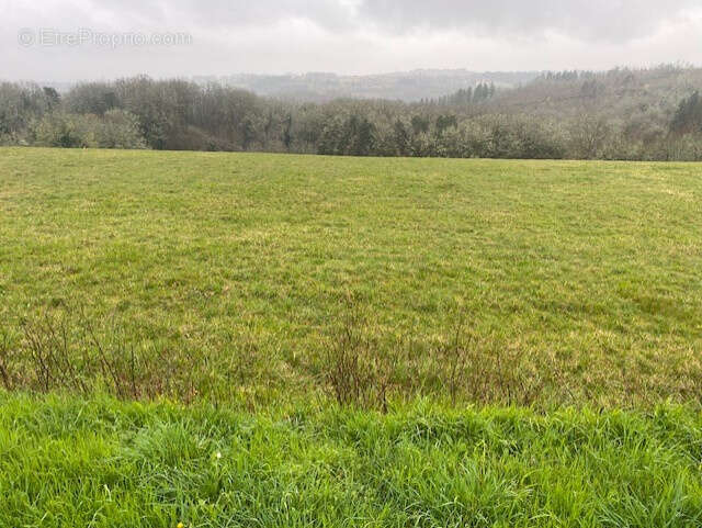 Terrain à LE ROC