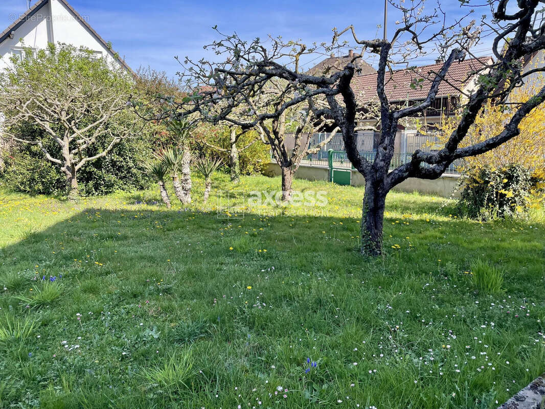 Maison à KURTZENHOUSE