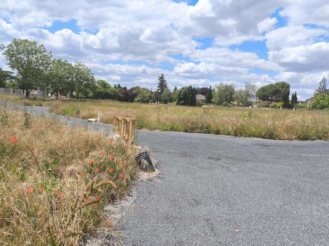 Terrain à MIGNE-AUXANCES