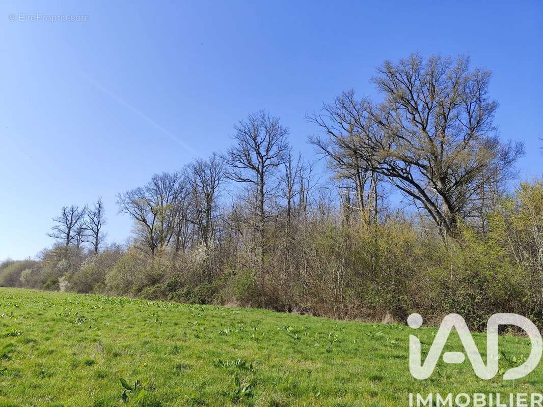 Photo 4 - Terrain à SURY-PRES-LERE