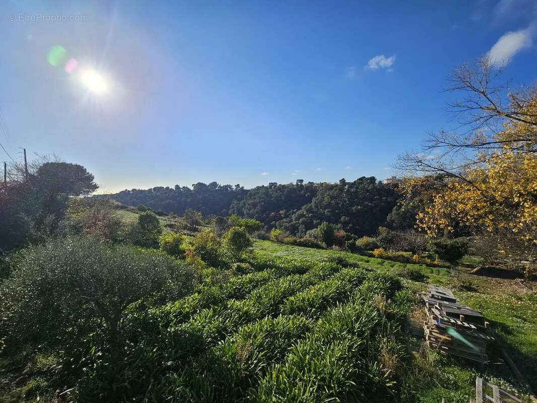 Terrain à SAINT-LAURENT-DU-VAR