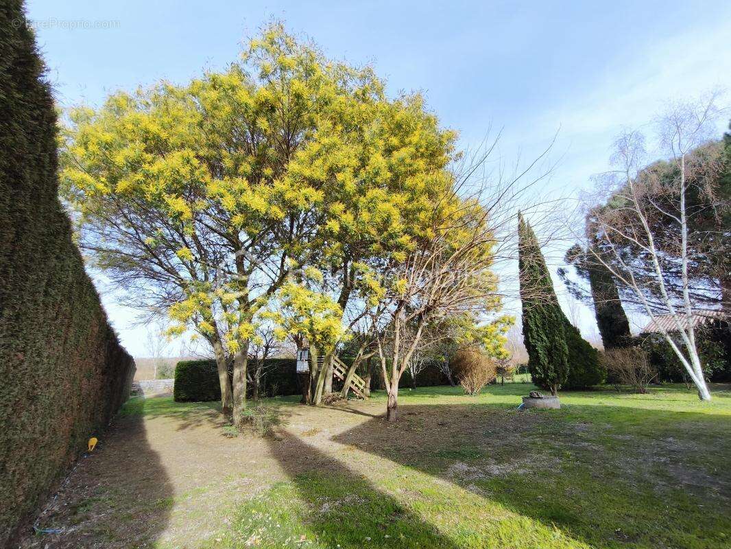 Maison à SAINT-ALBAN