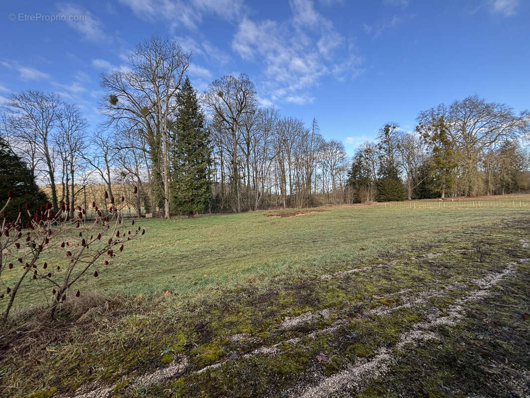 Au coeur du parc national à 9km de CHATILLON SUR SEINE ( 21)  :habitation de 450 M2 avec 1,5HA bord d'eau - photo 9