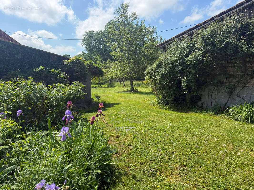 Maison à LA COQUILLE