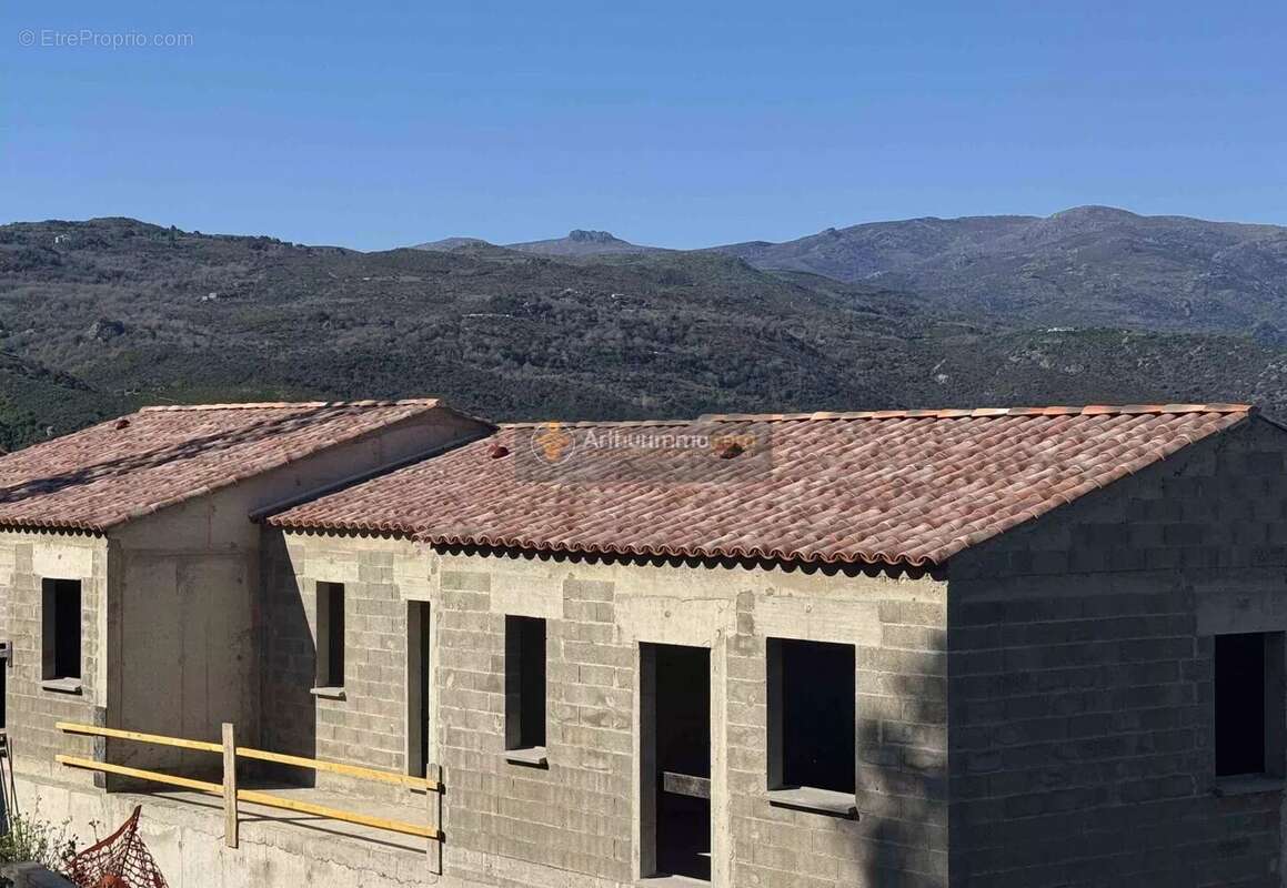 Appartement à OLMETA-DI-TUDA