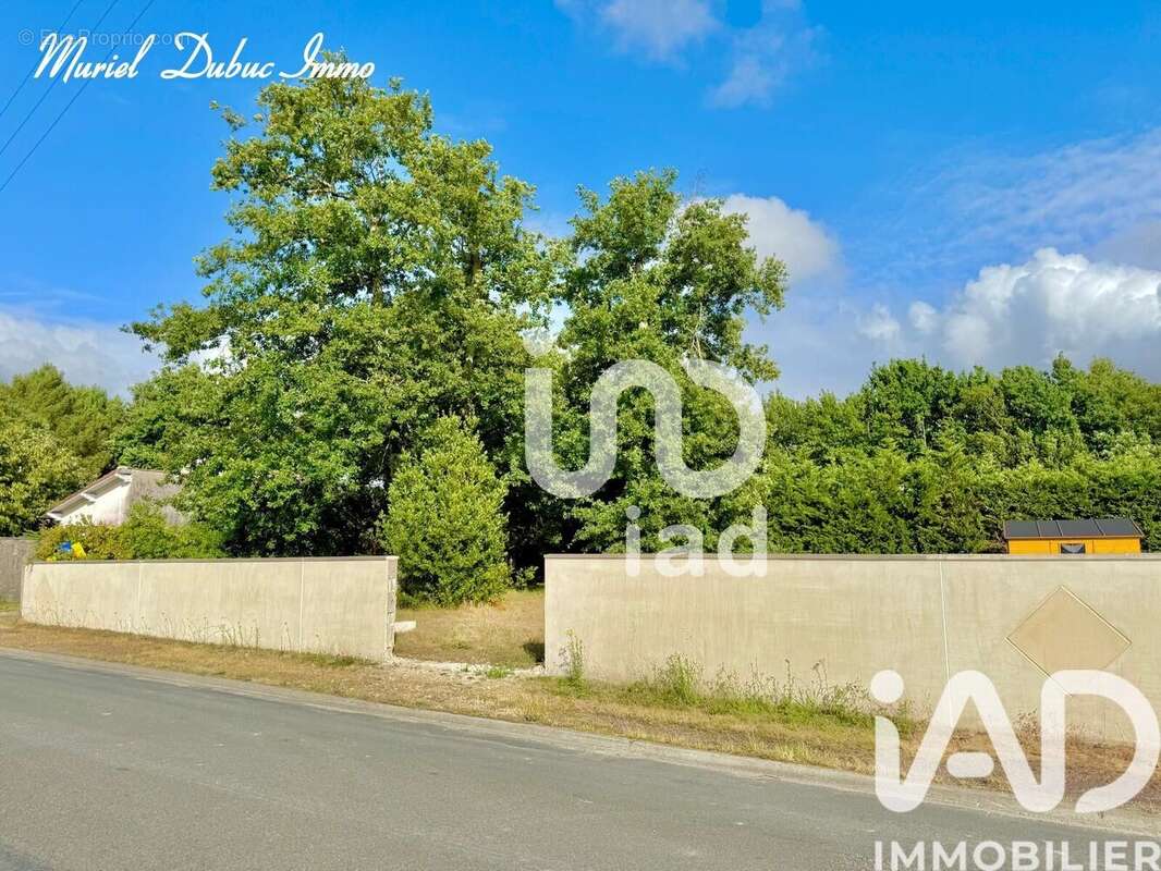 Photo 9 - Terrain à BREUILLET