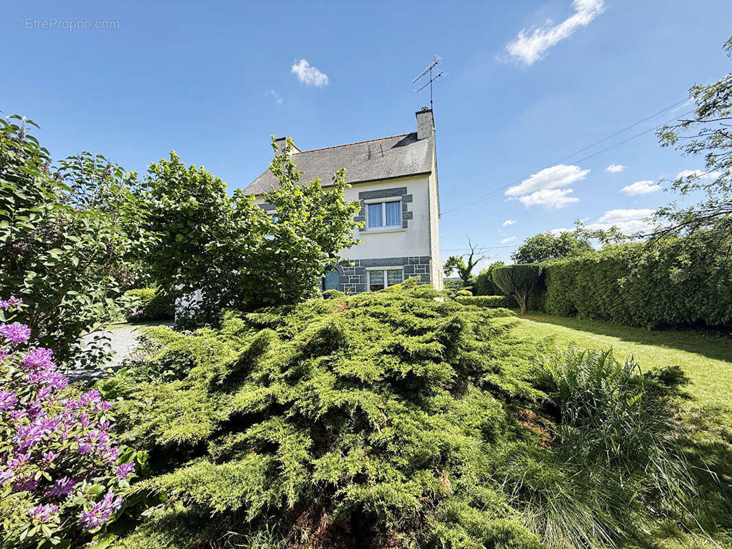 Maison de 1964, terrain 2520m2 - photo 18