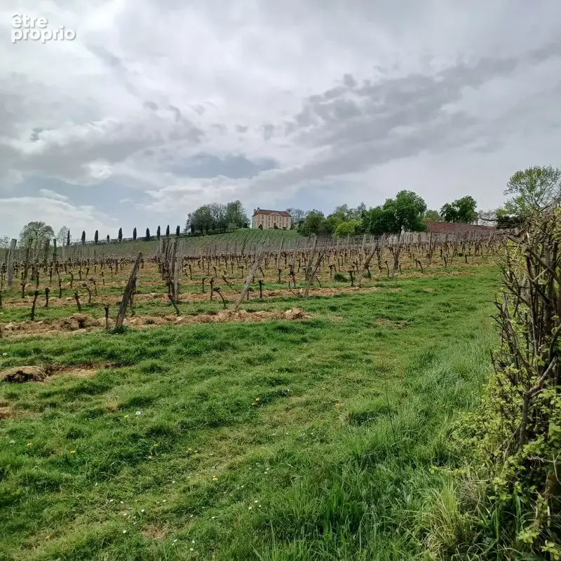 Fonds de commerce à vendre VIELLA (32) Alimentation, Tabac, Presse, FDJ - photo 9