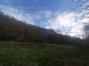 Terrain à CHAZEY-BONS