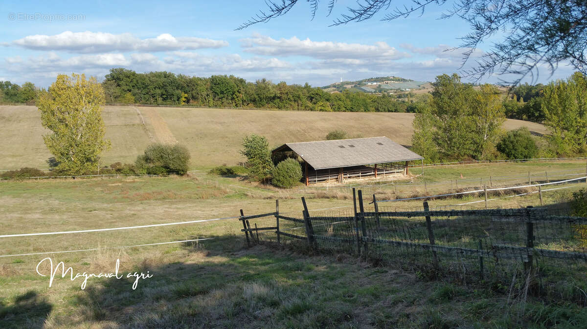 Domaine équestre ou agricole de 30 hectares en Occitanie - photo 9