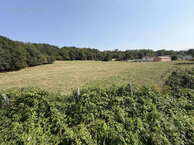 Grand terrain de 17 698 M2 avec partie constructible de 1549 M2 - photo 4