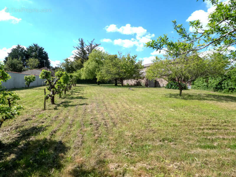 Maison à SAINT-VINCENT-SUR-GRAON